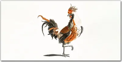 Produktbild von Coloray Küchenrückwand 140x70 Spritzschutz aus Glas - Vogel Hahn