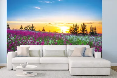 Produktbild von Vlies Fototapete SONNENAUFGANG UND BLUMEN 375 x 250 cm (inkl. Kleister) - Vlies Tapete, Wandtapete, Wandbilder - Tapete für Wohnzimmer Schlafzimmer, Büro, Küche - Montagefertig