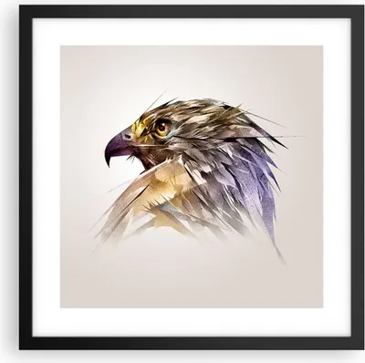 Produktbild von Gerahmtes Poster - Schwarzer Rahmen - Adler Vogel Feder - 40x40 cm - Wand Bild - Wanddeko - Wandbilder - Kunstposter - Wandposter - Bilderrahmen - Bilder - Kunstdruck - Wandbild - P2BAC40x40-3936
