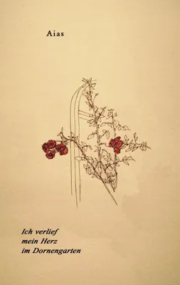 Produktbild von Ich verlief mein Herz im Dornengarten