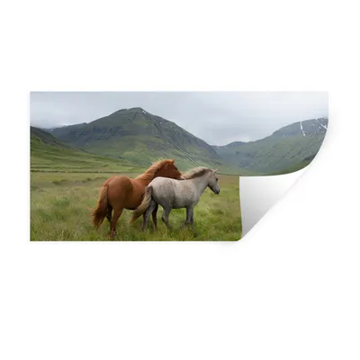 Produktbild von MuchoWow® Wandtattoo Wandsticker Wandaufkleber Pferde - Gras - Berge 40x20 cm Selbstklebend und Repositionierbar - Aufkleber