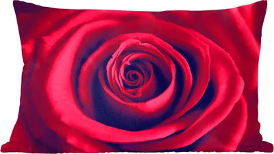 Produktbild von MuchoWow® Zierkissen Sofakissen Wohnzimmer Dekokissen 60x40 cm Rosen - Rot - Blumen - Kopfkissen - Polster mit Foto