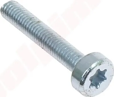 Immagine prodotto di Vite Stihl T27 M5X28 ( 9022 341 0900 )