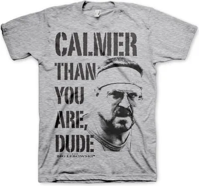 Produktbild von Calmer Than You Are, Dude T-Shirt - Small - Heather-Grey