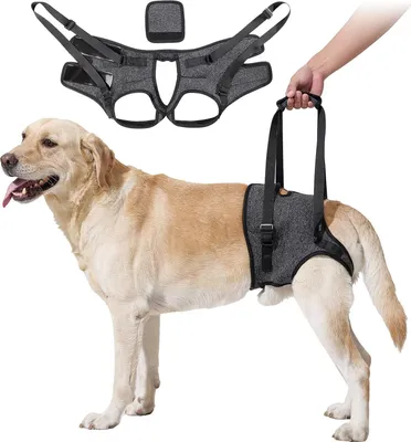 Produktbild von Tragehilfe für Hunde Hinterbeine, Hundetragegurt mit Griff, Hilfsgeschirr für ältere & verletzte Hunde