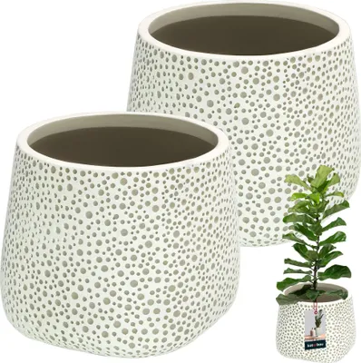 Obrázek produktu pro KOTARBAU® květináč keramický neglazovaný matný povrch šedý cibulovitý ⌀ 15 cm | V 16 cm 2 ks květináče květináče pro pokojové rostliny keramický květináč velký keramický květináč moderní
