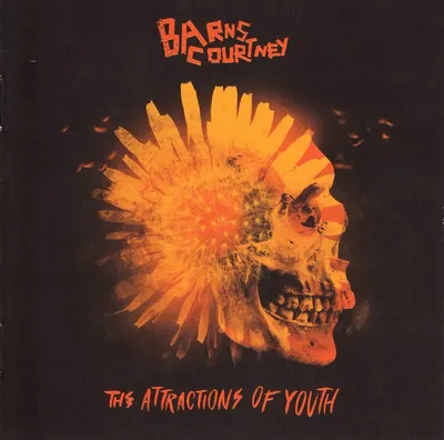 Obrázok produktu pre Barns Courtney: The Attractions Of Youth - - (CD/ Titel: A-G)