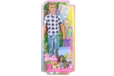 Obrázek produktu pro Barbie Kemping Ken Lalka + příslušenství