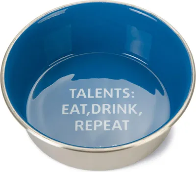 Produktbild von Beeztees Talents - Hundennapf - Edelstahl – Blau, Größe:ø 20 cm