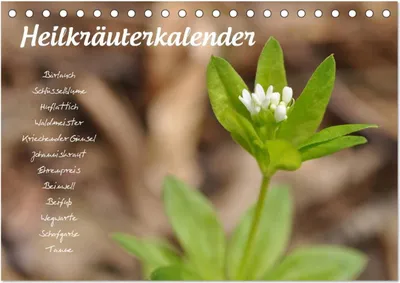Produktbild von Heilkräuterkalender (Tischkalender 2025 DIN A5 quer), CALVENDO Monatskalender
