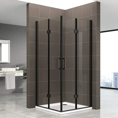 A modern bathroom with a black-framed glass shower enclosure.