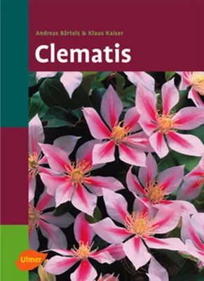 Produktbild von Clematis