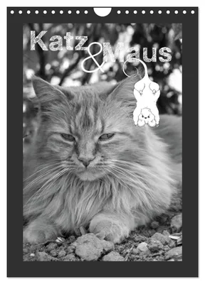 Produktbild von Katz & Maus (Wandkalender 2027 DIN A4 hoch), CALVENDO Monatskalender