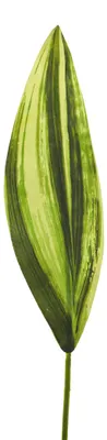 Künstliche Dracaena-Blätter, 72 cm, grün, 6 Stk.