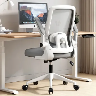 Produktbild von keepgogo Ergonomischer Büro- & Gaming-Stuhl mit Lendenwirbelstütze, 3D Kissen, klappbaren Armlehnen und bodenschonenden Rollen aus Latex, Stahl, PP und Polyurethan
