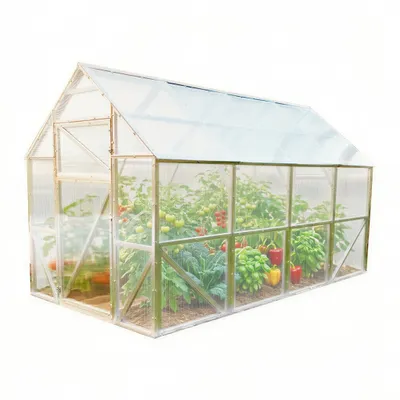 Produktbild von Stahl Gewächshaus Comfort mit Fundament 200x1200x220 cm, Polycarbonat 4 mm – Garten- & Tomatenhaus