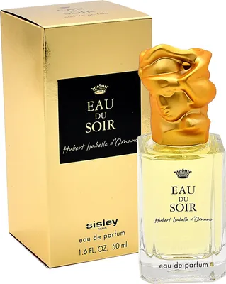 A perfume bottle and its box are displayed against a white background.
