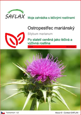 Obrázek produktu pro SAFLAX - ostropestřec mariánský - Silybum marianum - 75 Semena