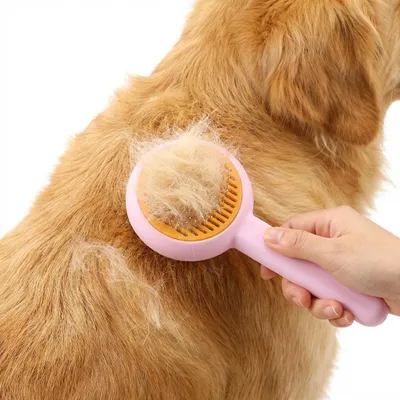 Immagine prodotto di Spazzola per peli di animali domestici per cani e gatti - Spazzola autopulente, viola