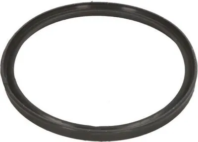 Produktbild von THERMOTEC Ladeluftschlauch-Dichtung DCB086TT für BMW 3 Touring (E91) 4,4mm 60,4mm