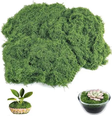 Image de Mousse décorative vert foncé 150 g 19 x 17 cm