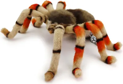 Produktbild von Vogelspinne PREMIUM Rotknie Spinne Plüschtier Dekotier ANNITA