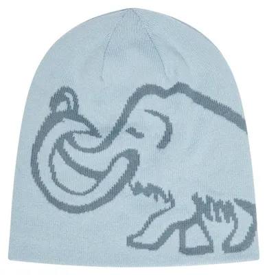Image de Bonnet Mammut Logo, réversible, bleu ciel