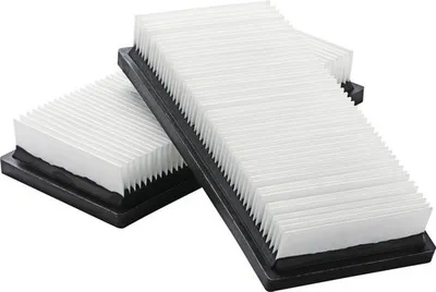Produktbild von Flachfaltenfilter Nilfisk Pet M-Klasse