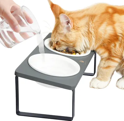 Produktbild von Erhöhtes Futterstation für Katzen, erhöhte Futterschale, ergonomische Katzenfutterstation, erhöhte Keramikschale, Katzenfutterstation, erhöht, Futterstation für Katzen, Holz, Keramik (dunkelgrau)