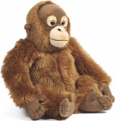 Image de Living Nature Peluche Orang-outan durable 24cm Jouet