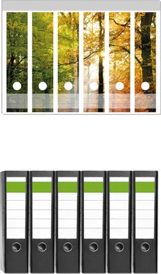 Produktbild von Wallario 6 Stück breite Ordner inkl. Klebeetiketten mit Motive Sonnenuntergang im Herbstwald -  Set mit Rückenschildern / Ordnerrücken Stickern
