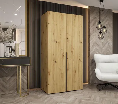 Obrázek produktu pro Šatní skříň 100 cm BETULA - dub artisan / černá