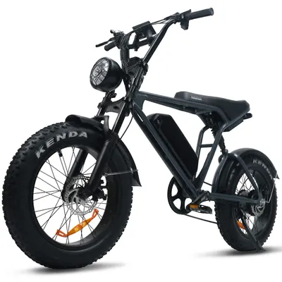 Produktbild von E-Bike Cityrad Schneemobil E6 48V 15Ah 720WH 250W 80Nm Drehmoment 100 km Reichweite bis 100km, 7 Gang Shimano, Kettenschaltung, Heckmotor Pedelec