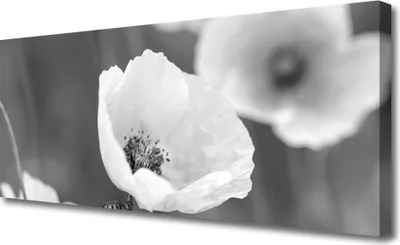 Produktbild von Tulup Leinwand-Bilder 125x50 Wandbild Canvas Kunstdruck Mohnblumen Pflanzen