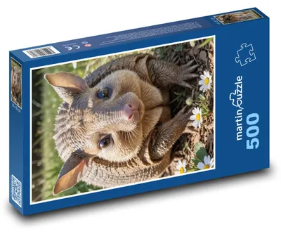 Zdjęcie produktu dla martinpuzzle - Puzzle 500 elementów - Pásovec