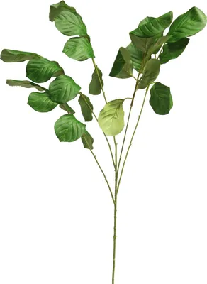 Produktbild von artplants.de Dekozweig Pfeilwurz JIEBAI, grün, 115 cm - Künstlicher Blätterzweig