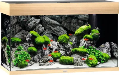 Image de Aquarium JUWEL Rio 180 avec éclairage LED, pompe, filtre, chauffage sans armoire inférieure bois clair