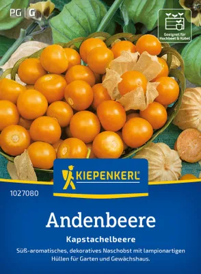 Artikelbild 2 von 'Andenbeeren Kapstachelbeere' aus der Kategorie Andenbeerensamen