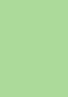 Produktbild von 100 Blatt farbiges Druckerpapier / buntes Kopierpapier / Farbe: pastell grün