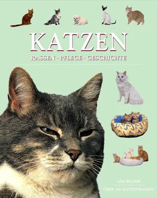 Produktbild von Katzen | Michael Pollard
