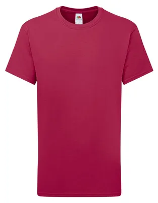 Image de Fruit of the Loom - T-shirt pour enfants FK2779 (140-146) (Cranberry)