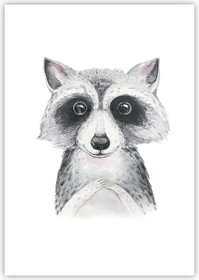 Produktbild von Poster - Poster ohne Rahmen - Waschbär Bild Kinder - 70x100 cm - Wand Bild - Wanddeko - Wandbilder - Kunstposter - Wandposter - Bilder - Kunstdruck - Wanddekoration - Wandbild - P2XPA70x100-4607