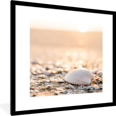 Produktbild von MuchoWow® Gerahmtes Poster Muscheln - Weiß - Strand - Sommer 40x40 cm - Poster mit Schwarzem Bilderrahmen Wandposter Rahmen Foto Bilder - Poster - Plakat im Rahmen