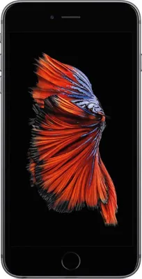 Produktbild von Apple iPhone 6S Plus grau 32GB