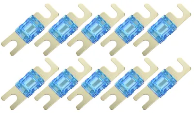 10 Stück 100A AFS Mini ANL Sicherungen für Auto & Boot