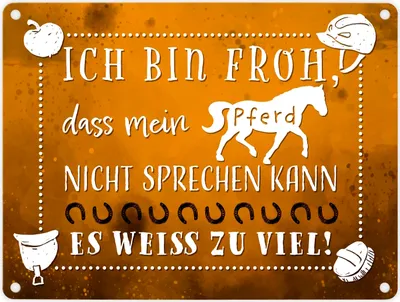 Produktbild von Metallschild in 15x20 cm mit lustigem Spruch - Pferd es weiß zu viel