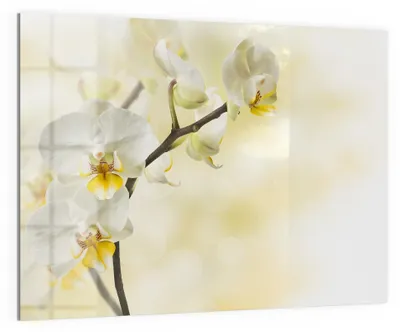 Obrázok produktu pre Magnetická sklenená tabuľa, 120 x 90 cm