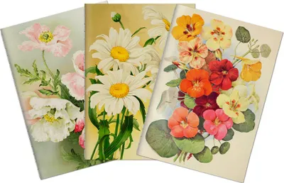 Image de Set de trois carnets Summer Bloom
