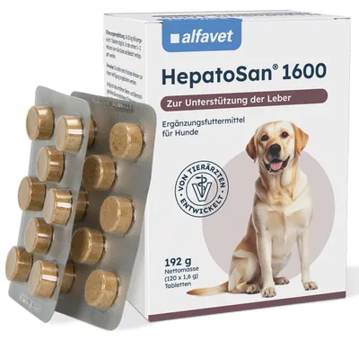 Produktbild von HepatoSan 1600 120 Tab.