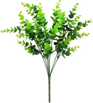 Zdjęcie produktu dla Bukszpan Bukiet 7 Gałązek 34 Cm